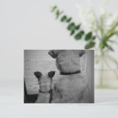 友最高のだちはがき ポストカード (スタンド正面)