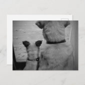 友最高のだちはがき ポストカード (正面/裏面)