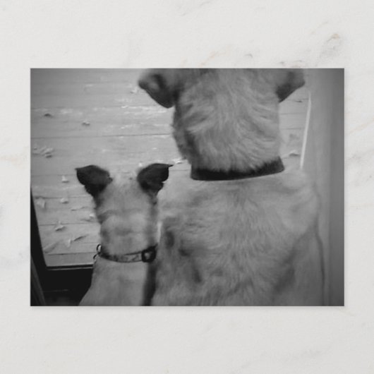 友最高のだちはがき ポストカード (正面)