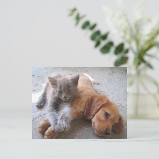 友最高のだちはがき ポストカード (スタンド正面)