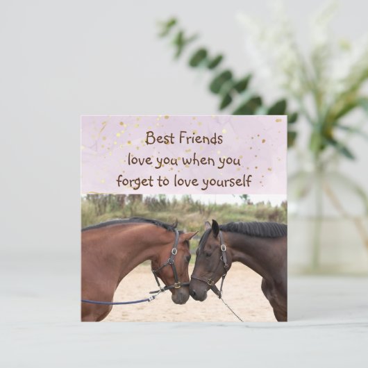 友最高の人が馬を愛感動的 (スタンド正面)