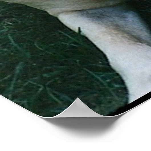 友最高の人は… ポスター (角)