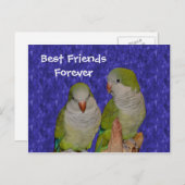 友最高の人永遠にかわいい鳥はがき ポストカード (正面/裏面)