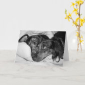 友最高の人 カード (黄色い花)