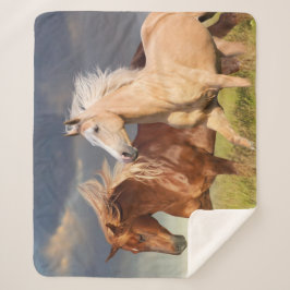 友最高の人 シェルパブランケット