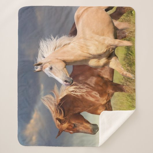 友最高の人 シェルパブランケット (正面)