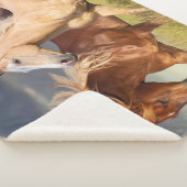 友最高の人 シェルパブランケット (3/4)