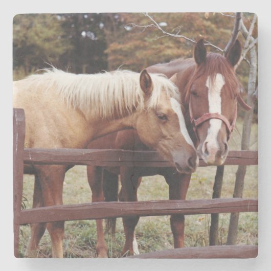 友最高の人 ストーンコースター (正面)