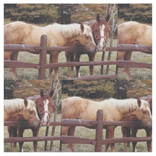 友最高の人 ファブリック (クローズアップ)