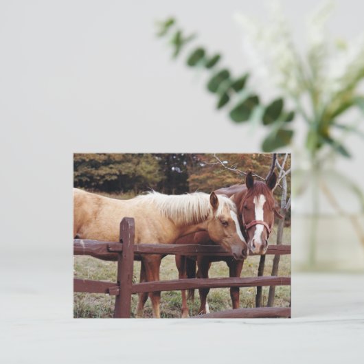 友最高の人 ポストカード (スタンド正面)