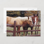 友最高の人 ポストカード (正面/裏面)