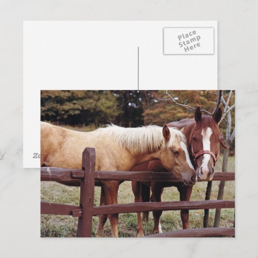 友最高の人 ポストカード (正面/裏面)