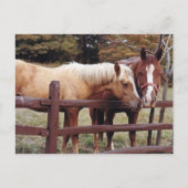 友最高の人 ポストカード (正面)