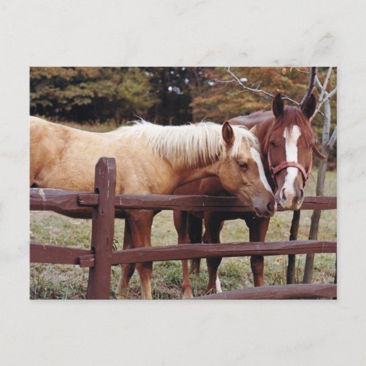 友最高の人 ポストカード (正面)