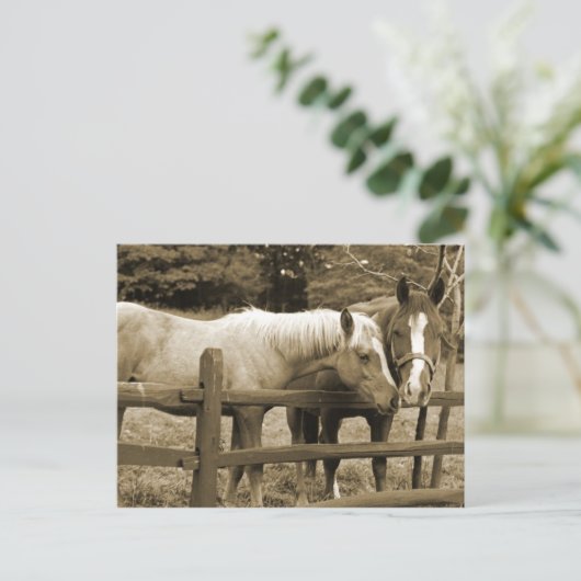 友最高の人 ポストカード (スタンド正面)