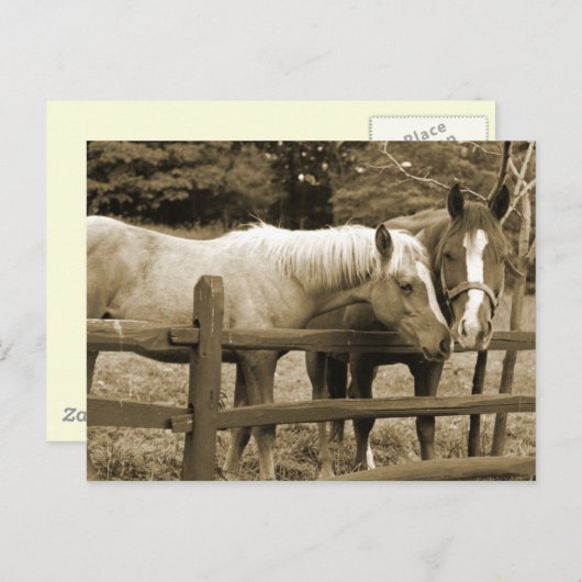 友最高の人 ポストカード (正面/裏面)