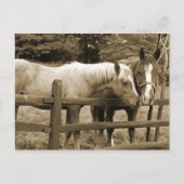 友最高の人 ポストカード (正面)