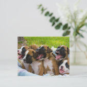 友最高の人 ポストカード (スタンド正面)