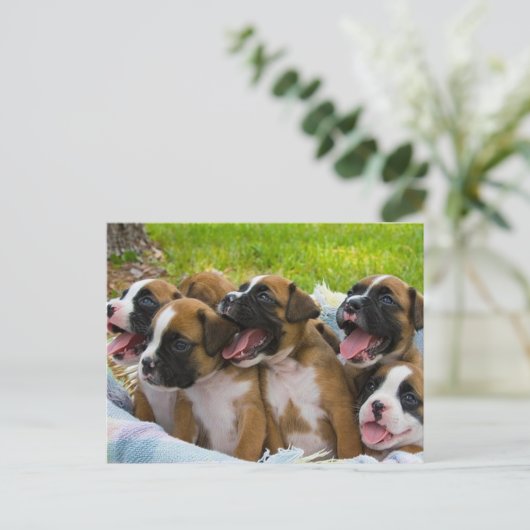 友最高の人 ポストカード (スタンド正面)