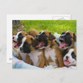 友最高の人 ポストカード (正面/裏面)