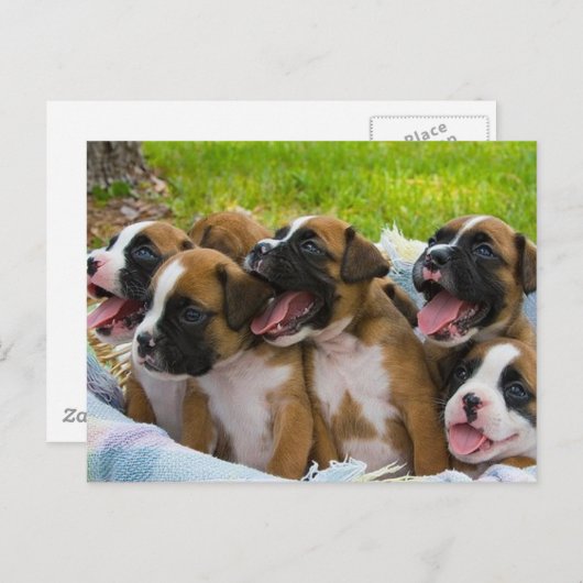 友最高の人 ポストカード (正面/裏面)