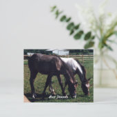 友最高の人 ポストカード (スタンド正面)