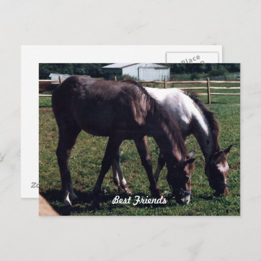 友最高の人 ポストカード (正面/裏面)