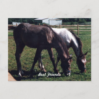 友最高の人 ポストカード