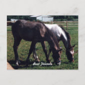 友最高の人 ポストカード (正面)