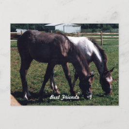 友最高の人 ポストカード