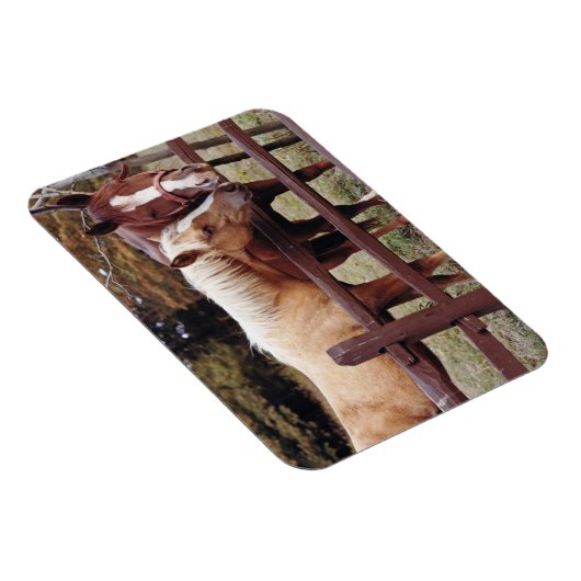 友最高の人 マグネット (右側)