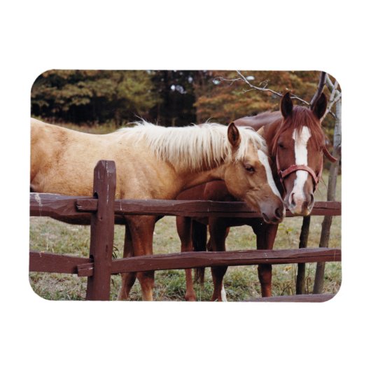 友最高の人 マグネット (横)