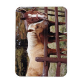 友最高の人 マグネット (縦)