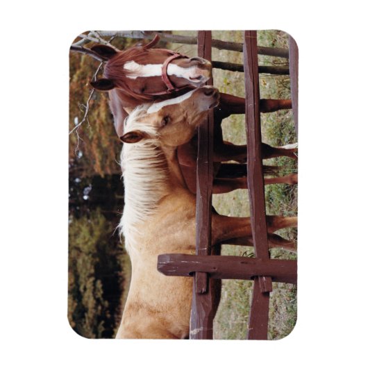 友最高の人 マグネット (縦)