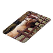 友最高の人 マグネット (左側)