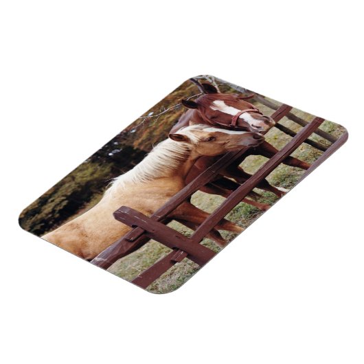 友最高の人 マグネット (左側)