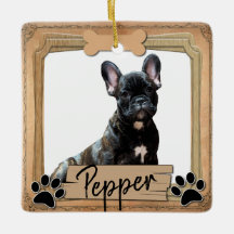 友最高の犬の写真