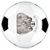 友最高の達エンペンギン サッカーボール (回転)