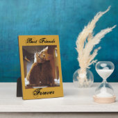 友最高の達プラーク フォトプラーク (側面)