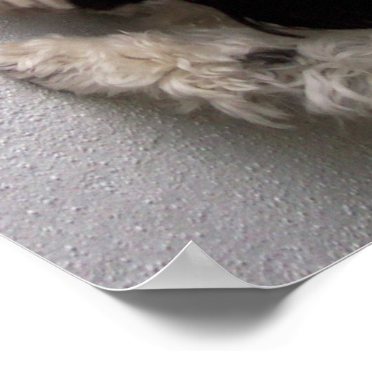 友達ができてよかった ポスター (角)