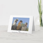 友達が固まる カード (裏面)