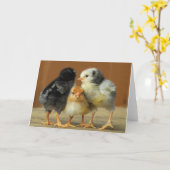 友達が固まる カード (黄色い花)