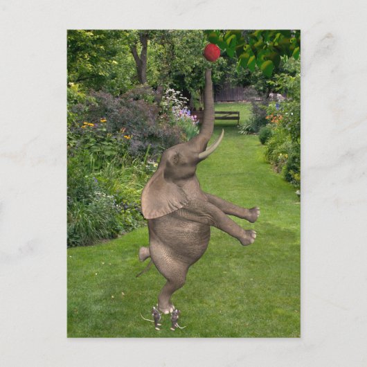 友達とはそういうもの ポストカード (正面)