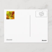 友達とは、（あなたの）息子を知っている人だ ポストカード (裏面)