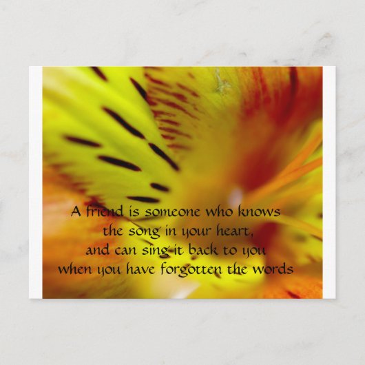 友達とは、（あなたの）息子を知っている人だ ポストカード (正面)