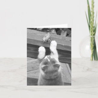 友達になれる？ カード