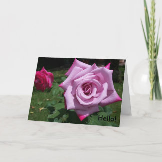 友達に「こんにちは」と言いなさい カード