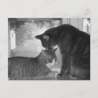 友達のポストカード ポストカード