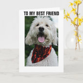 「友達の最高の誕生日」に着飾る カード (黄色い花)