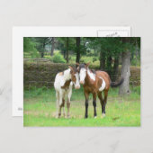 友達へのポストカード ポストカード (正面/裏面)